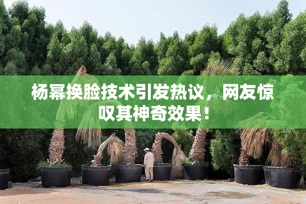 杨幂换脸技术引发热议，网友惊叹其神奇效果！