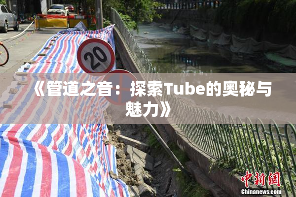 《管道之音：探索Tube的奥秘与魅力》