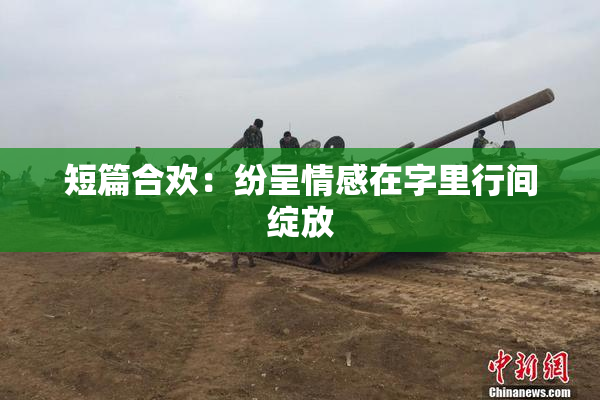 短篇合欢：纷呈情感在字里行间绽放