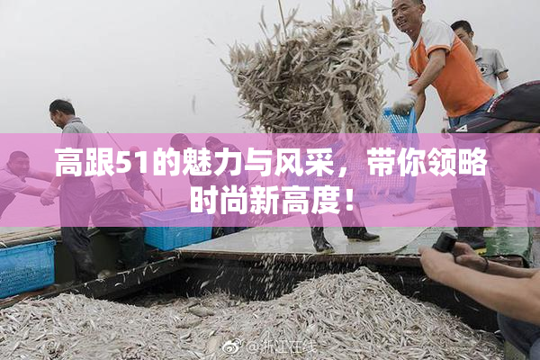 高跟51的魅力与风采，带你领略时尚新高度！