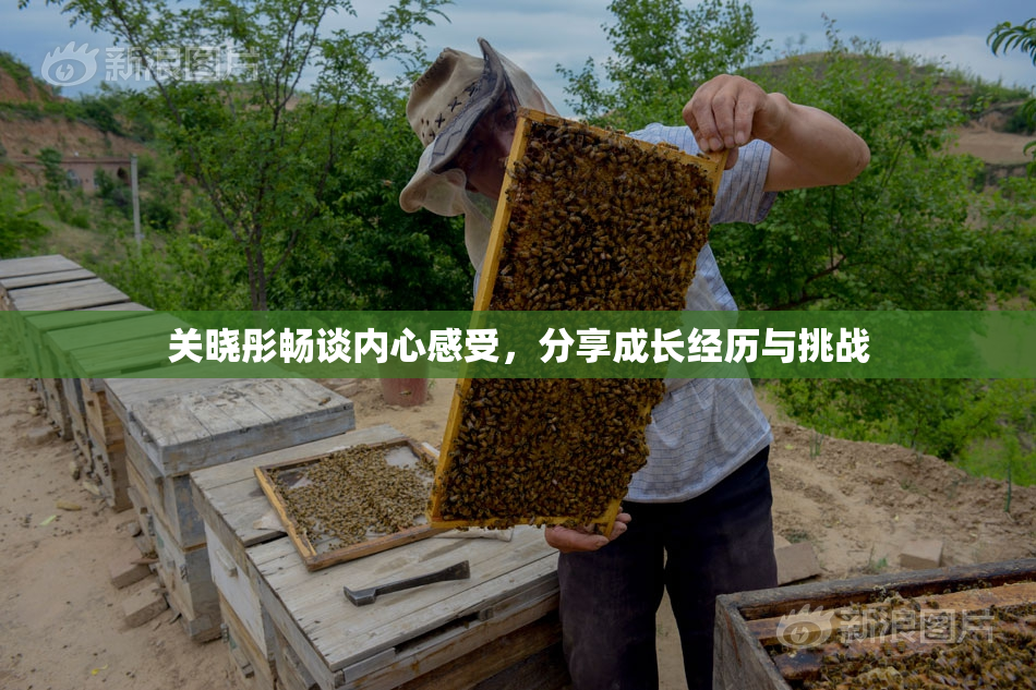 关晓彤畅谈内心感受，分享成长经历与挑战