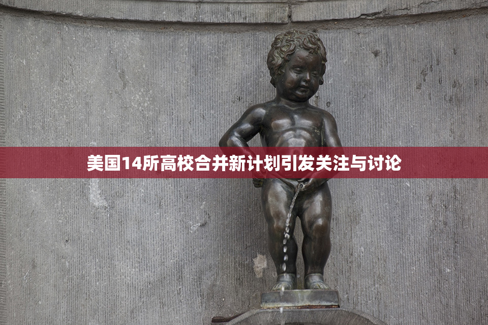 美国14所高校合并新计划引发关注与讨论