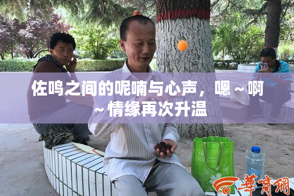 佐鸣之间的呢喃与心声，嗯～啊～情缘再次升温