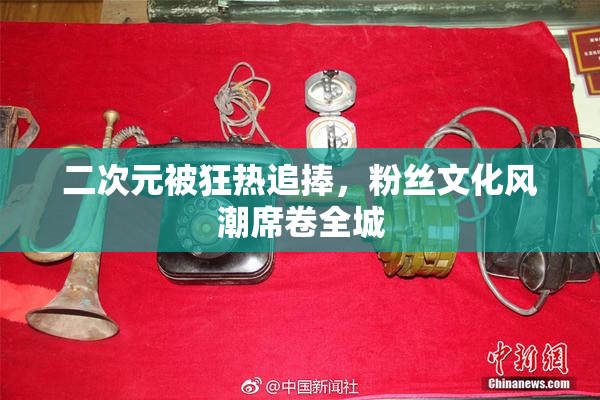 二次元被狂热追捧，粉丝文化风潮席卷全城