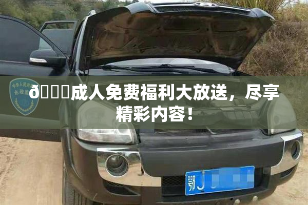 🔞成人免费福利大放送，尽享精彩内容！