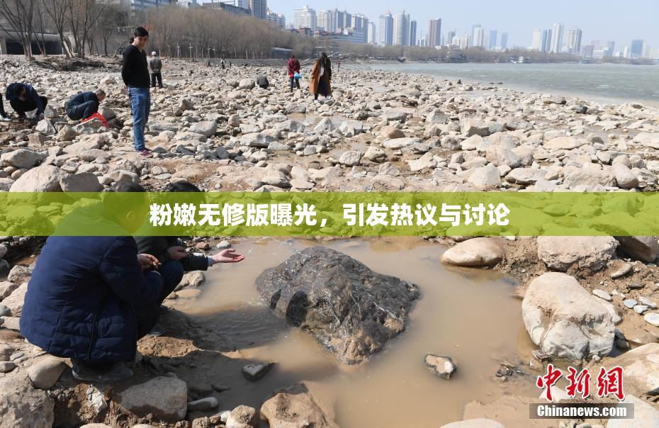 粉嫩无修版曝光，引发热议与讨论
