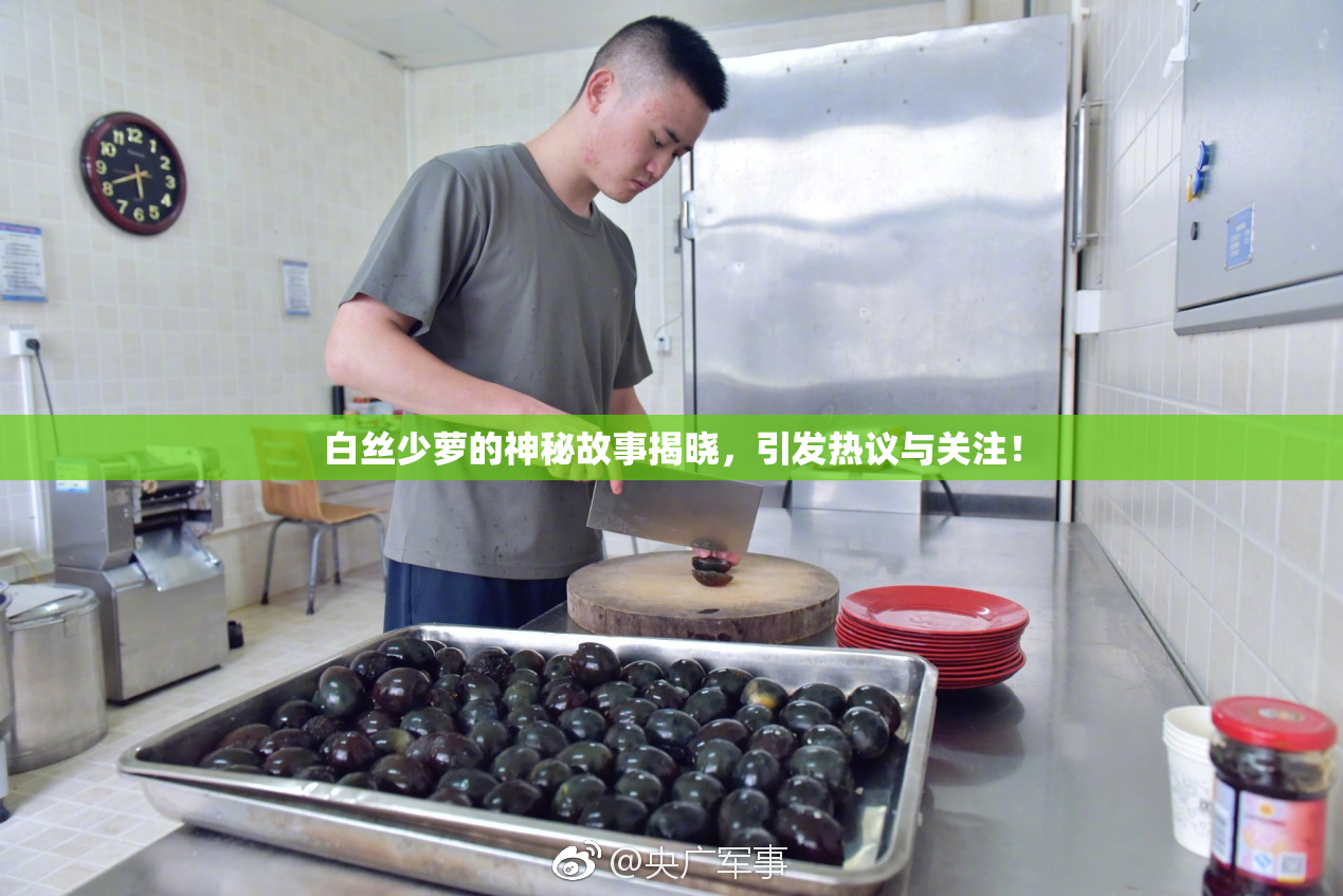 白丝少萝的神秘故事揭晓，引发热议与关注！