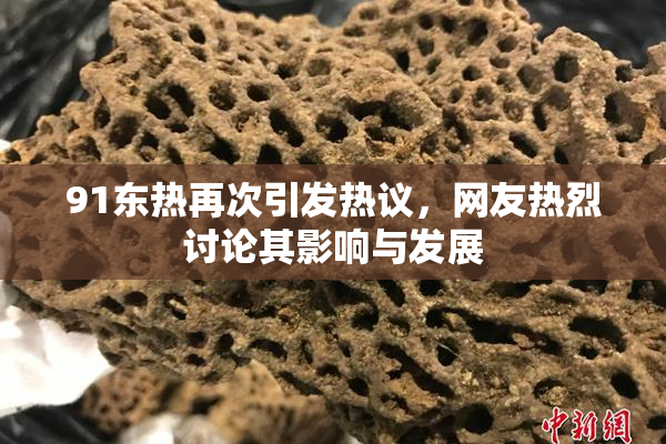 91东热再次引发热议，网友热烈讨论其影响与发展
