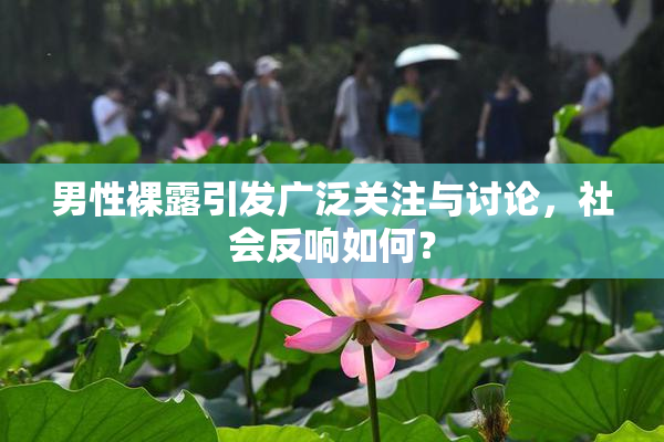 男性裸露引发广泛关注与讨论，社会反响如何？
