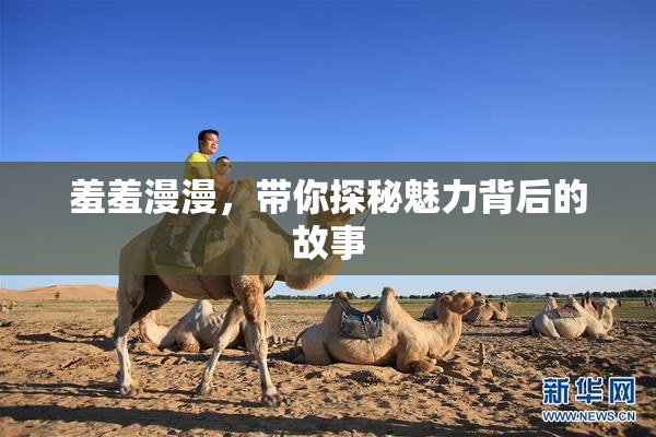 羞羞漫漫，带你探秘魅力背后的故事