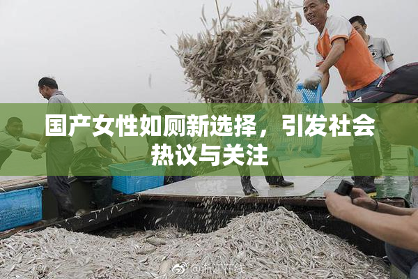 国产女性如厕新选择，引发社会热议与关注