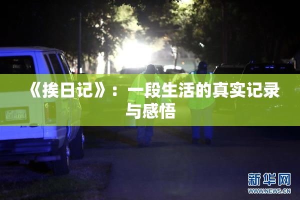 《挨日记》：一段生活的真实记录与感悟