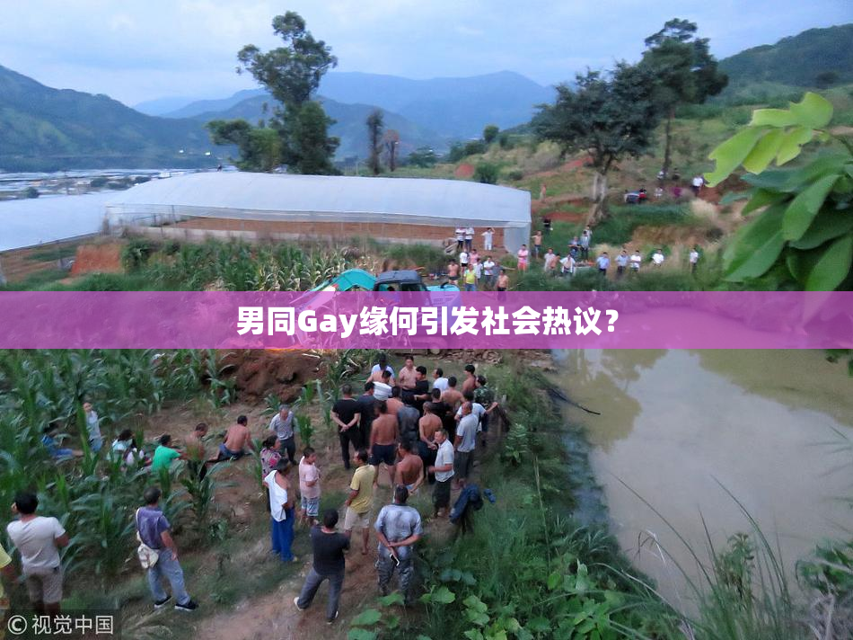 男同Gay缘何引发社会热议？