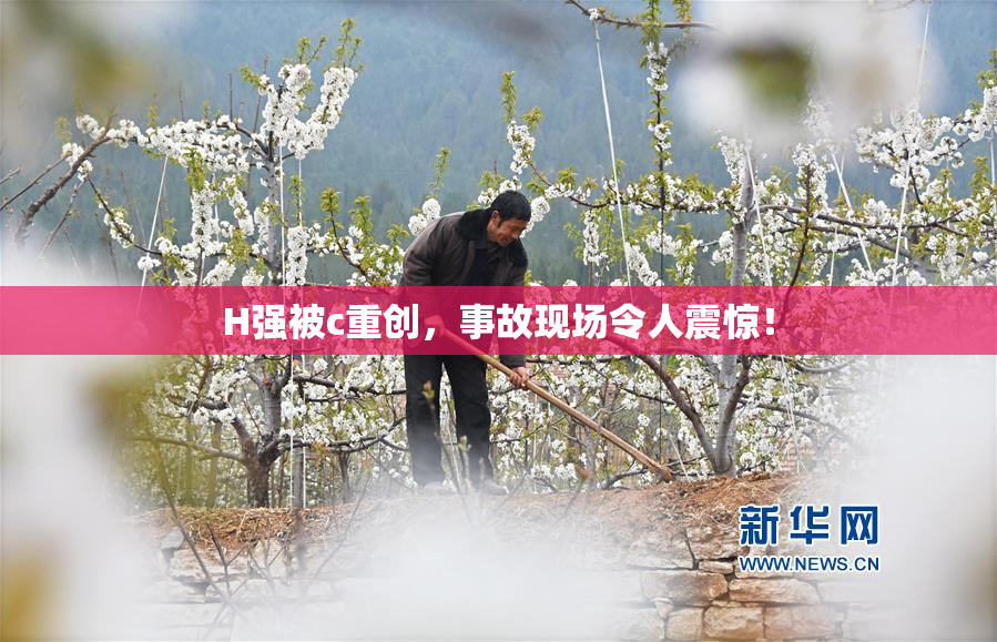 H强被c重创，事故现场令人震惊！