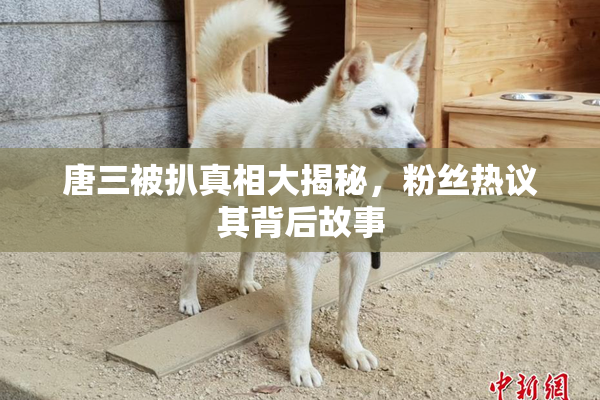 唐三被扒真相大揭秘，粉丝热议其背后故事