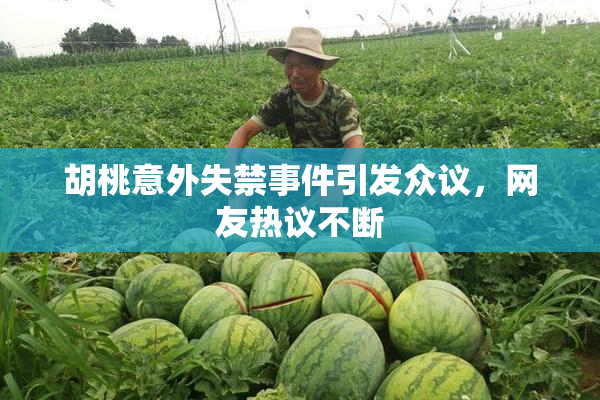 胡桃意外失禁事件引发众议，网友热议不断