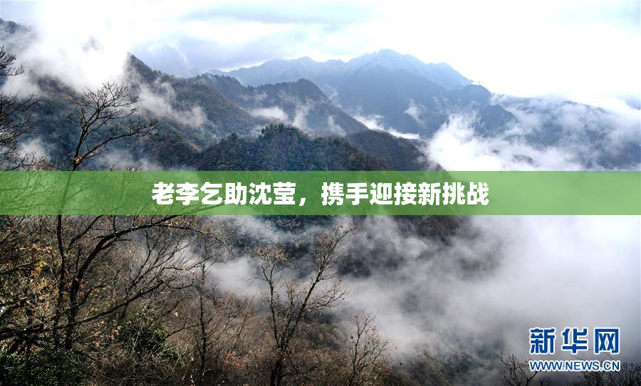 老李乞助沈莹，携手迎接新挑战