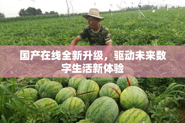 国产在线全新升级，驱动未来数字生活新体验