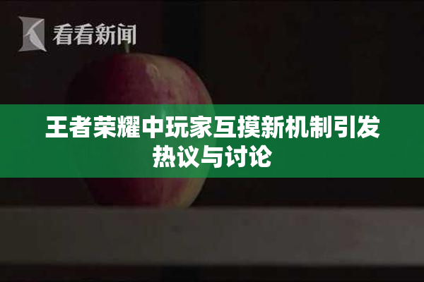 王者荣耀中玩家互摸新机制引发热议与讨论