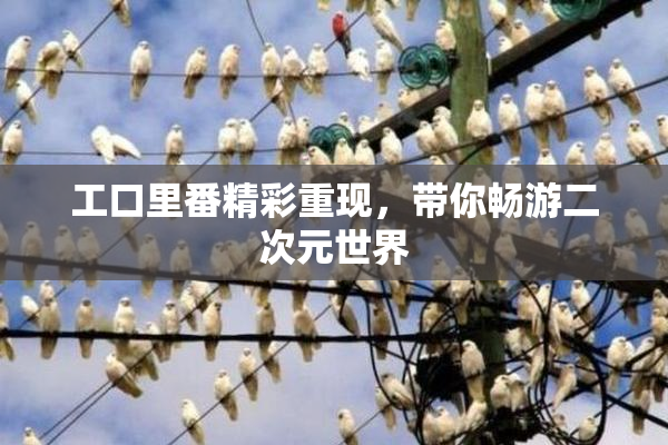 工口里番精彩重现，带你畅游二次元世界