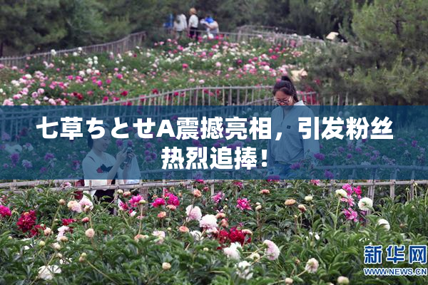 七草ちとせA震撼亮相，引发粉丝热烈追捧！