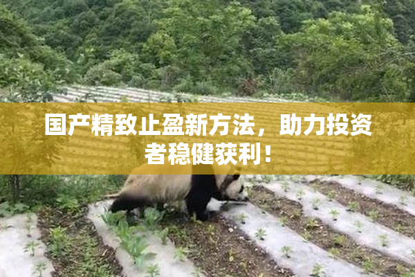 国产精致止盈新方法，助力投资者稳健获利！