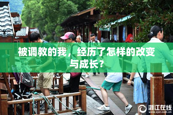 被调教的我，经历了怎样的改变与成长？