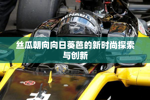 丝瓜朝向向日葵芭的新时尚探索与创新