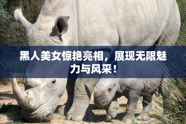 黑人美女惊艳亮相，展现无限魅力与风采！