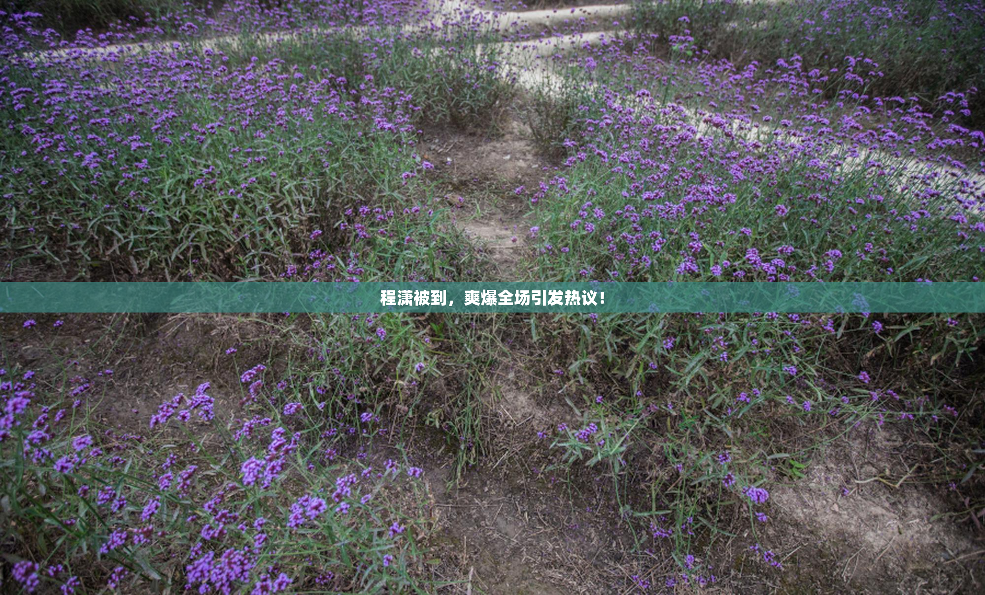 程潇被到，爽爆全场引发热议！