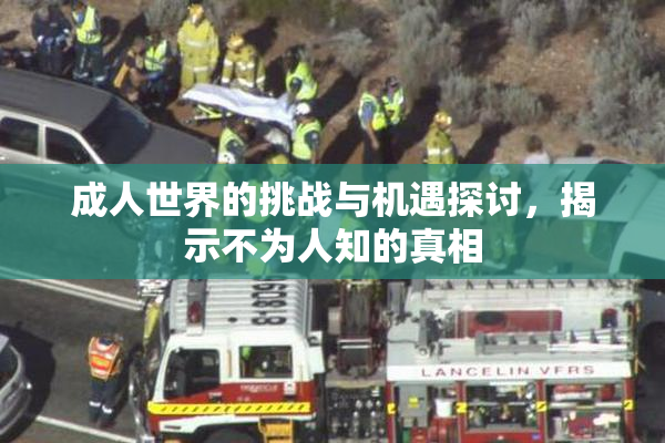 成人世界的挑战与机遇探讨，揭示不为人知的真相