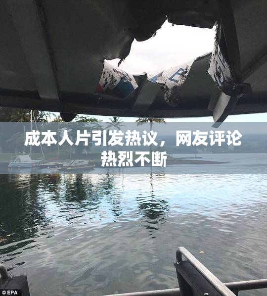成本人片引发热议，网友评论热烈不断