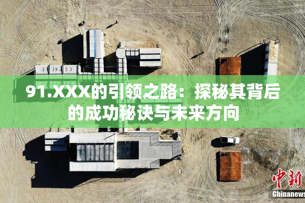 91.XXX的引领之路：探秘其背后的成功秘诀与未来方向