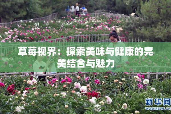 草莓视界：探索美味与健康的完美结合与魅力