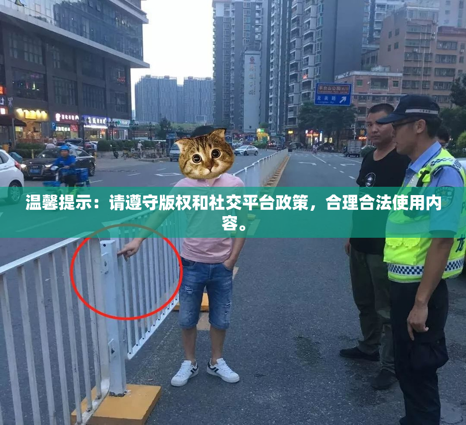 温馨提示：请遵守版权和社交平台政策，合理合法使用内容。