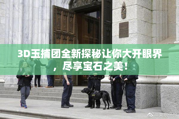 3D玉捕团全新探秘让你大开眼界，尽享宝石之美！