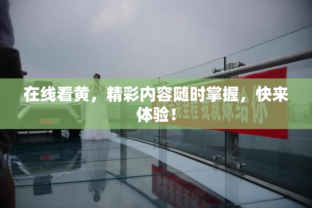 在线看黄，精彩内容随时掌握，快来体验！