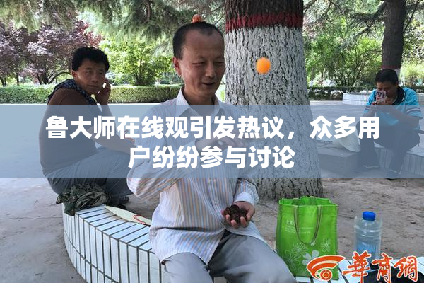鲁大师在线观引发热议，众多用户纷纷参与讨论
