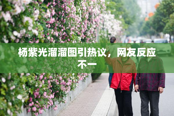 杨紫光溜溜图引热议，网友反应不一