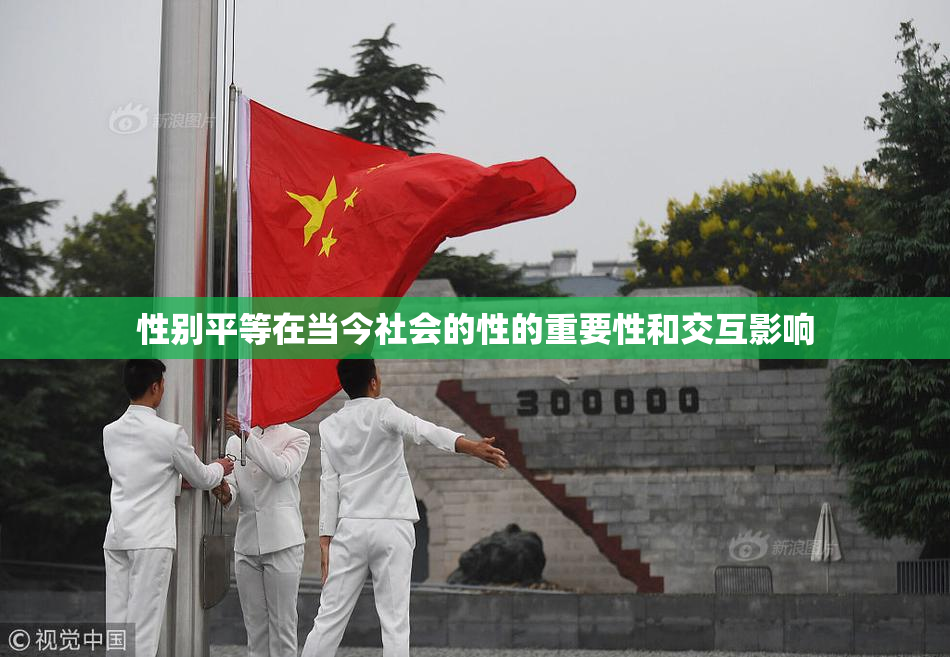性别平等在当今社会的性的重要性和交互影响