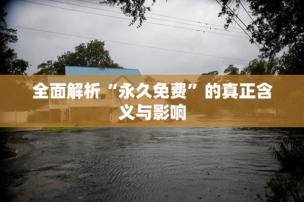 全面解析“永久免费”的真正含义与影响