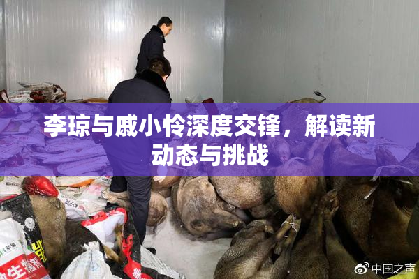 李琼与戚小怜深度交锋，解读新动态与挑战