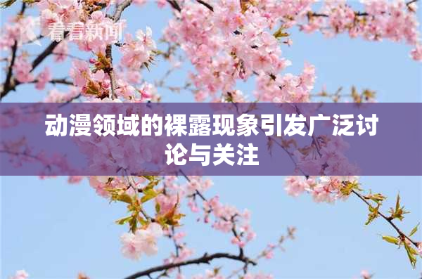 动漫领域的裸露现象引发广泛讨论与关注