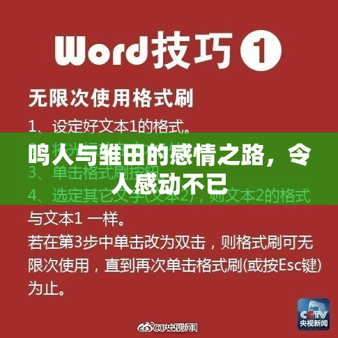 鸣人与雏田的感情之路，令人感动不已