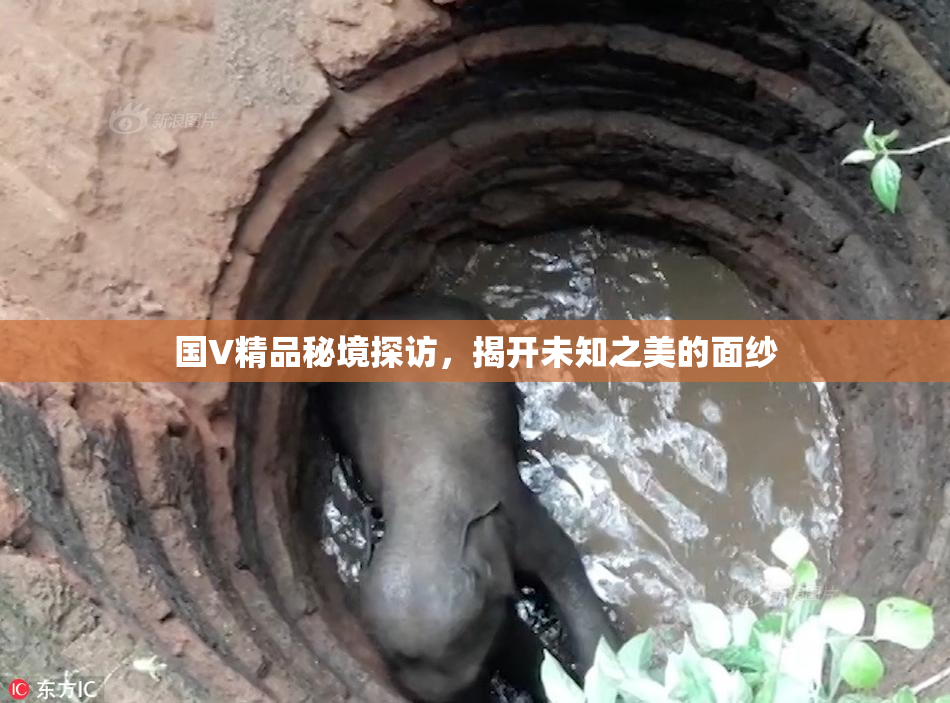 国V精品秘境探访，揭开未知之美的面纱