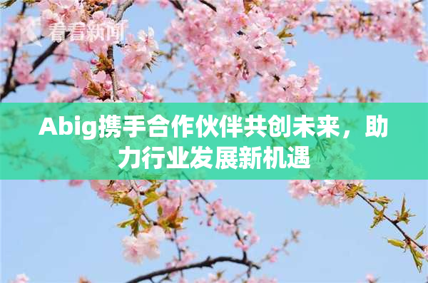 Abig携手合作伙伴共创未来，助力行业发展新机遇