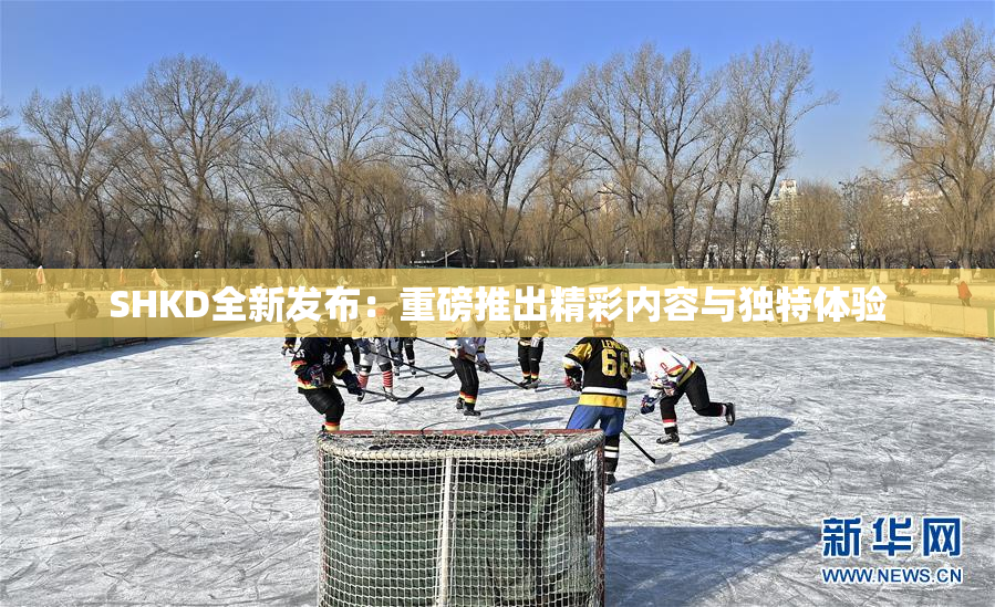 SHKD全新发布：重磅推出精彩内容与独特体验