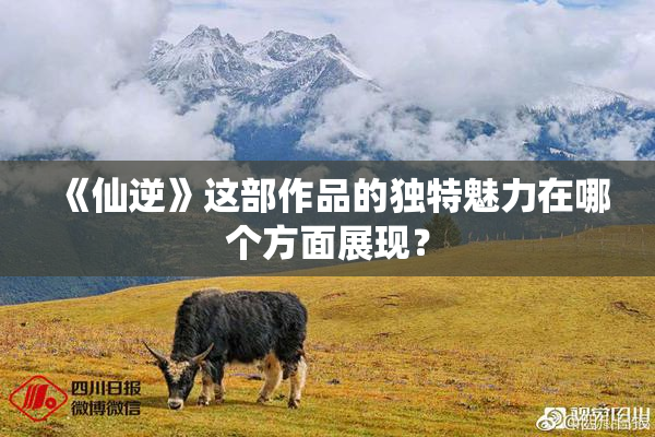 《仙逆》这部作品的独特魅力在哪个方面展现？