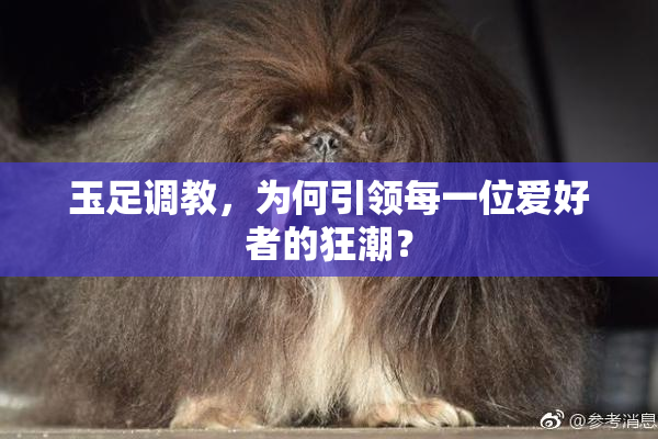 玉足调教，为何引领每一位爱好者的狂潮？