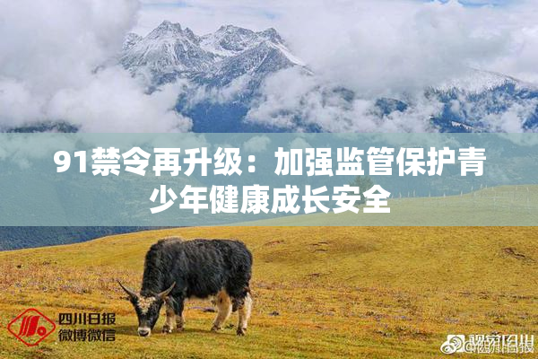 91禁令再升级：加强监管保护青少年健康成长安全
